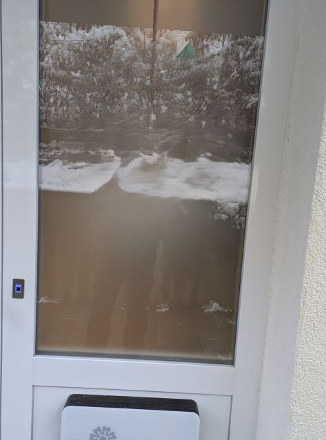 bild2